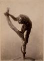 [Stuffed primate posed on tree limb]