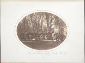 Harvard Natural History Society, '63 and '64