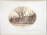Hollis, Stoughton, and Holden Chapel with the Class Day Elm
