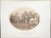 The Old "Med Fac" House and the Washington Elm