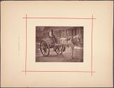 The Water-Cart