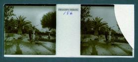[Two unid. men standing in front of palm tree]