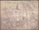[Relief of Shishak, Karnak]