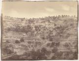 [Mount of Olives and Garden of Gethsemane]