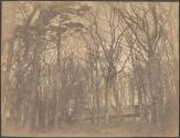[Cottage in the woods]