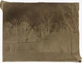 [Landscape with trees and houses, Ireland]