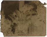 [Garden with palm tree]