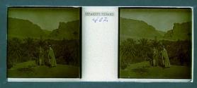 [Woman and guide in front of brush and mountains]