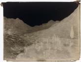 [Garden of Saint Catherine's Monastery, Sinai]