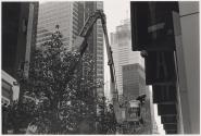 [Man in crane bucket]