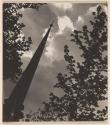 Church steeple, trees and sky, Falmouth