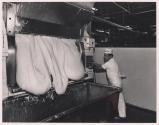 Man making dough, Tri-Valley Area, Northern California