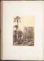 Group of Palms, Island of Philae
