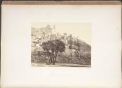 Doum Palm, and Ruined Mosque