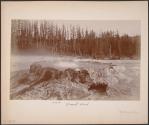 Punch Bowl