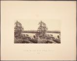 View on the Nile from Philae