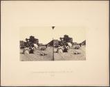 Encampment Under a Doum Palm
