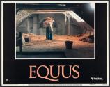 Equus