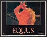 Equus
