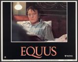 Equus