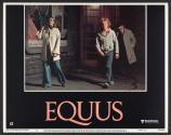 Equus