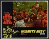 Hornets' Nest