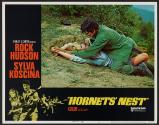 Hornets' Nest