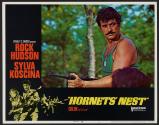 Hornets' Nest