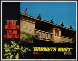 Hornets' Nest