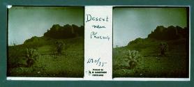 Desert near Phoenix Dec/35