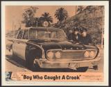 Boy Who Caught a Crook