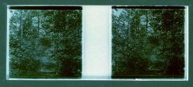[Woods]