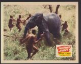 Dangerous Journey