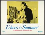 Echoes of a Summer