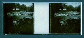 [Person seated at base of tre by river]
