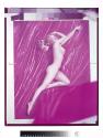 [Nude Marilyn Monroe]