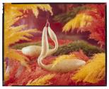 [Gourds]