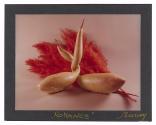[Entwined gourds]