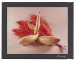 [Entwined gourds]