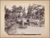 Arizona Garden, "Hotel Del Monte," Monterey