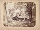 Hutchings' Cabin, Yosemite Valley, California