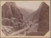 [Cimarron Canyon, Colorado]