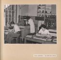 Works Laboratory Raw Paper Base Testing