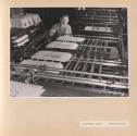 Letterpress/Cardbox Printing Machine