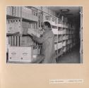 Stock and Shipping Basement Cold Storage