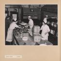Social Centre Kitchen