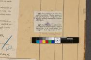 Label from a box of Eastman sensitized plates