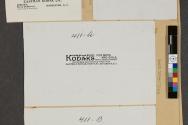 Advertisement for Kodak Cameras