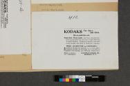 Advertisement for Kodak Cameras
