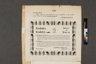 Advertisement for Kodak & Kodet Cameras